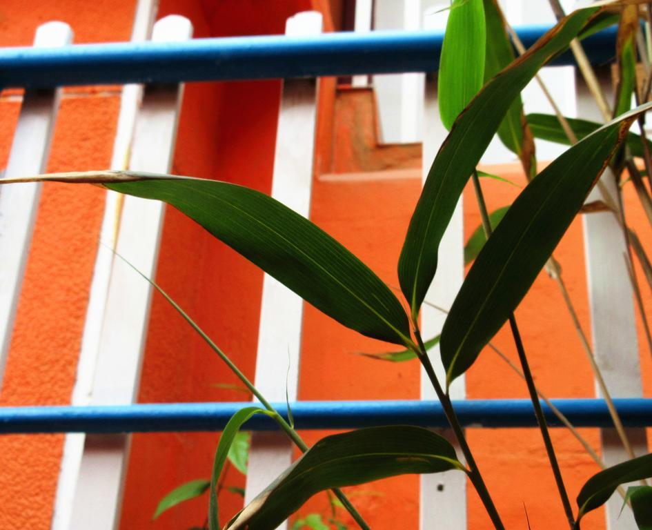 25°C Four Season Youth Hostel 青岛 外观 照片
